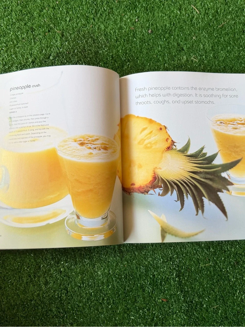 Cool Smoothies Juices and Cocktails book